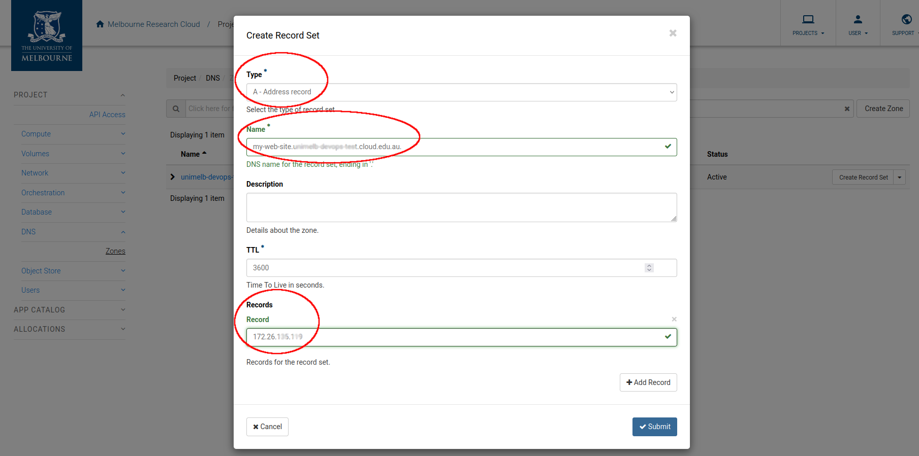 dns record details