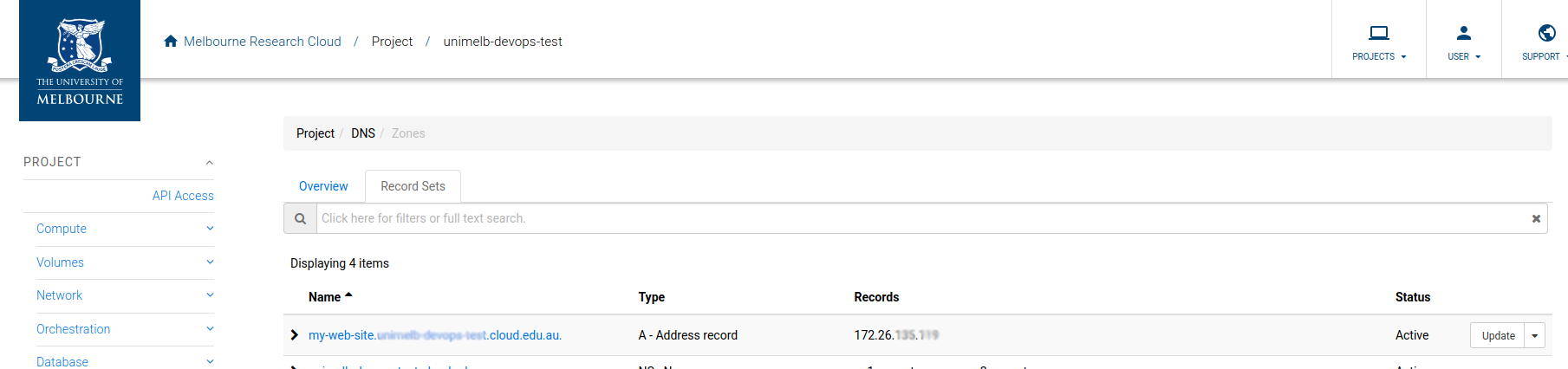 dns record list